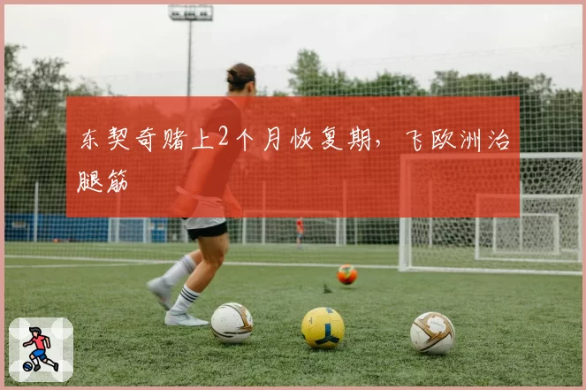 东契奇赌上2个月恢复期，飞欧洲治腿筋