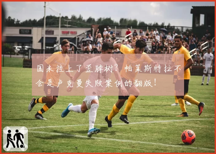 国米挂上了歪脖树？帕莱斯特拉不会是卢克曼失败案例的翻版！