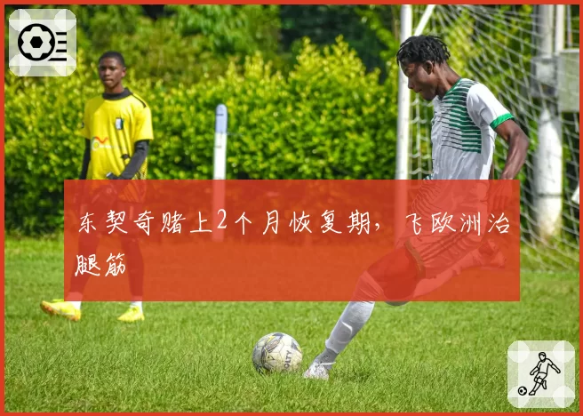 东契奇赌上2个月恢复期，飞欧洲治腿筋