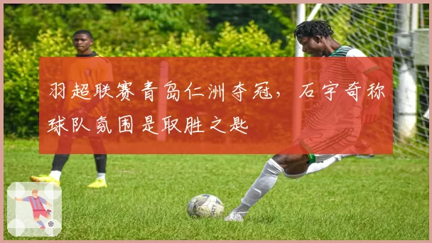 羽超联赛青岛仁洲夺冠，石宇奇称球队氛围是取胜之匙