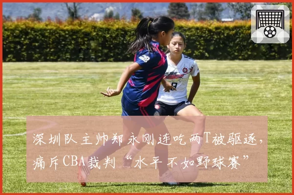 深圳队主帅郑永刚连吃两T被驱逐，痛斥CBA裁判“水平不如野球赛”
